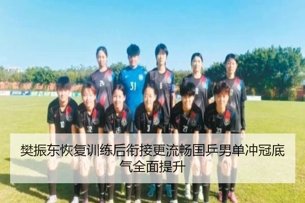 樊振东恢复训练后衔接更流畅国乒男单冲冠底气全面提升 - JIUYOU